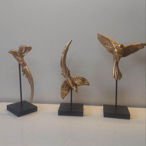 ست سه تایی پرندگان مهاجر